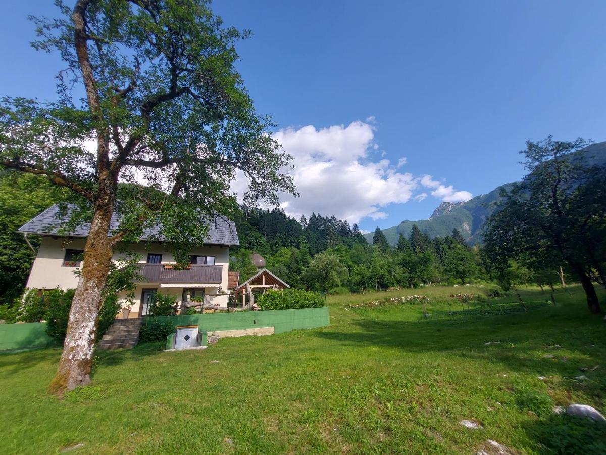 Soča Apartmaji Katrc מראה חיצוני תמונה