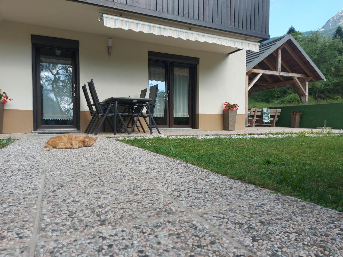Soča Apartmaji Katrc מראה חיצוני תמונה