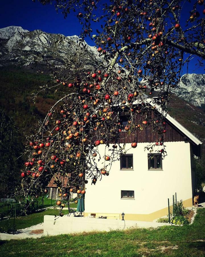 Soča Apartmaji Katrc מראה חיצוני תמונה