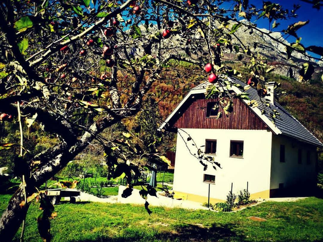 Soča Apartmaji Katrc מראה חיצוני תמונה